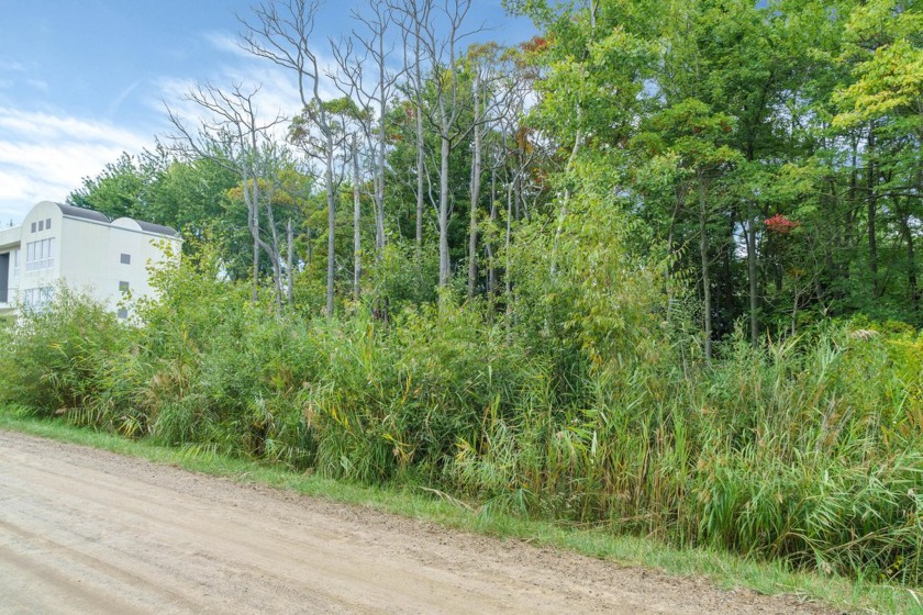 Build your dream beach house on this prime homesite in Miami - Beach Lot for sale in South Haven, Michigan on Beachhouse.com