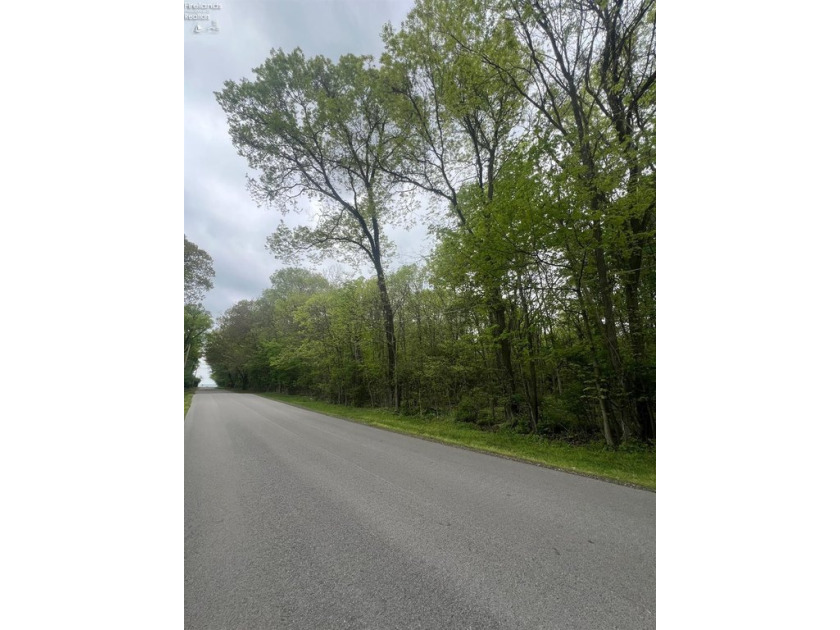 Create your dream retreat on this stunning 1.12-acre wooded lot - Beach Lot for sale in Put-In-Bay, Ohio on Beachhouse.com