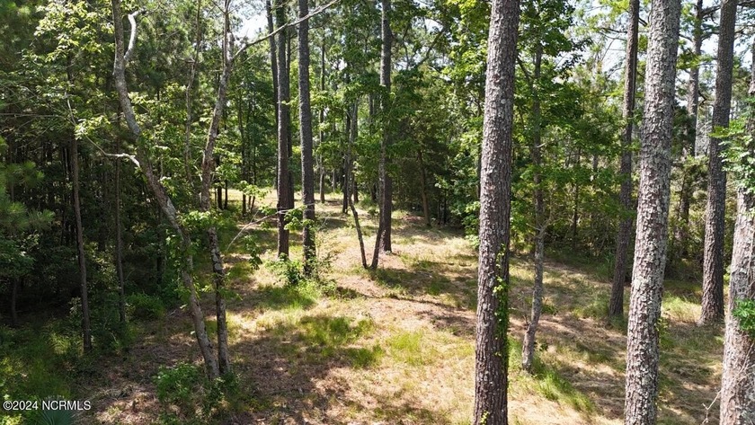 Nestled along the serene shores of the Neuse River in eastern NC - Beach Acreage for sale in Beaufort, North Carolina on Beachhouse.com