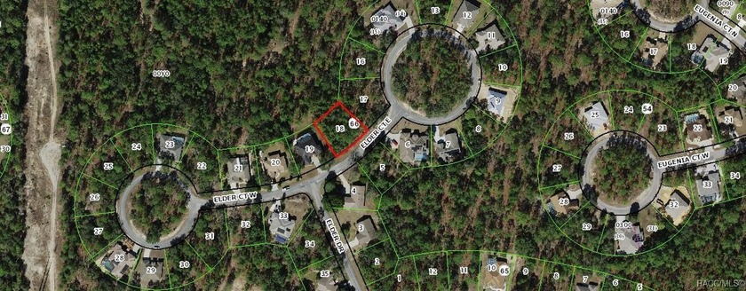 DARE TO COMPARE PRIVACY IN SUGARMILL WOODS! Imagine designing - Beach Lot for sale in Homosassa, Florida on Beachhouse.com
