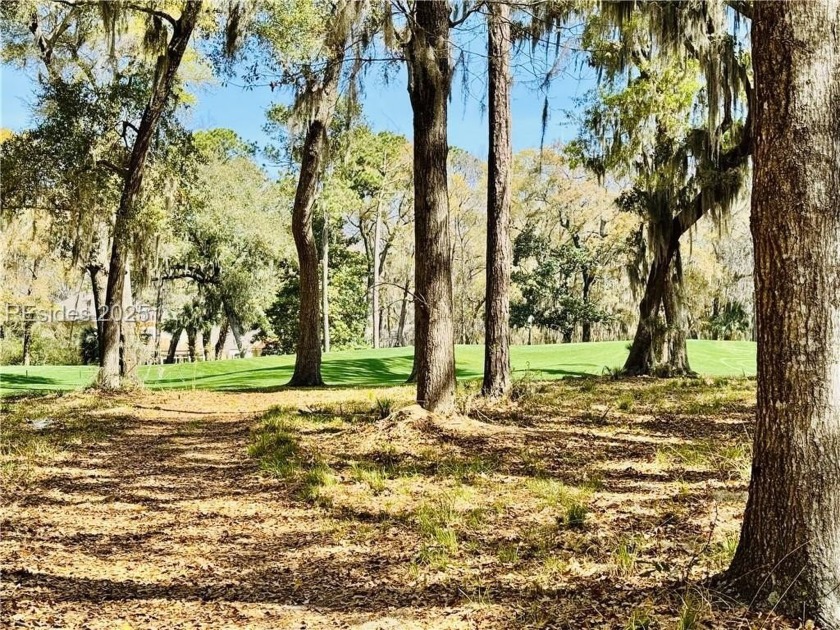 A beautiful open lot with spectacular golf course views. This - Beach Lot for sale in Daufuskie Island, South Carolina on Beachhouse.com
