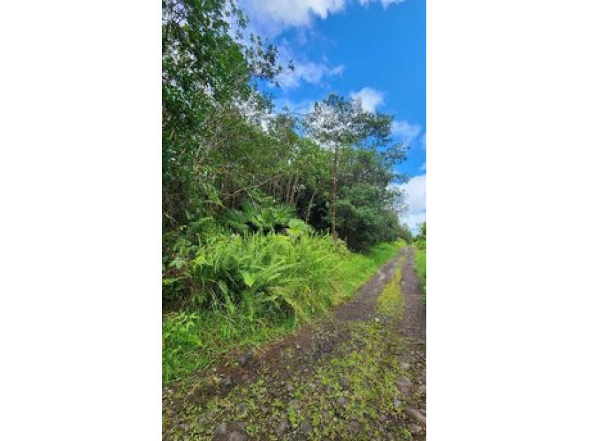 Beautiful 3 acre lot in Hawaiian Acres. The untouched land - Beach Acreage for sale in Mountain View, Hawaii on Beachhouse.com