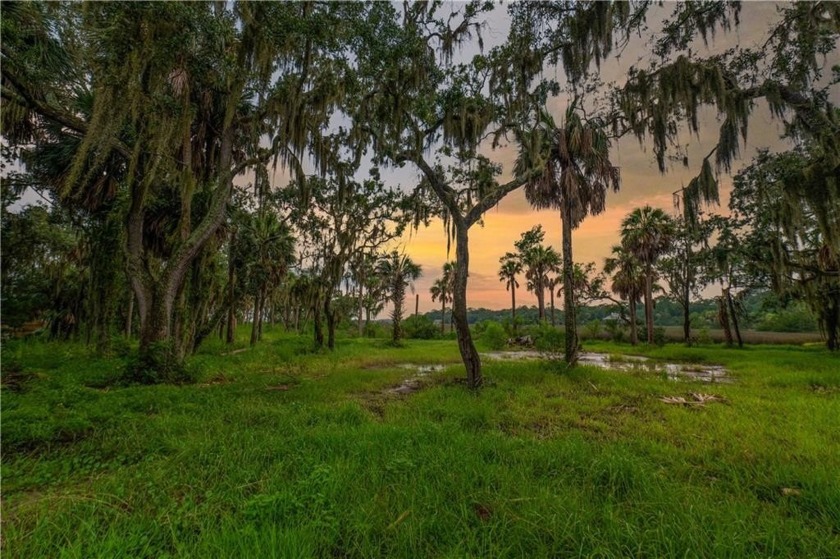 Unlock your dream coastal lifestyle here! Discover serenity and - Beach Lot for sale in Brunswick, Georgia on Beachhouse.com