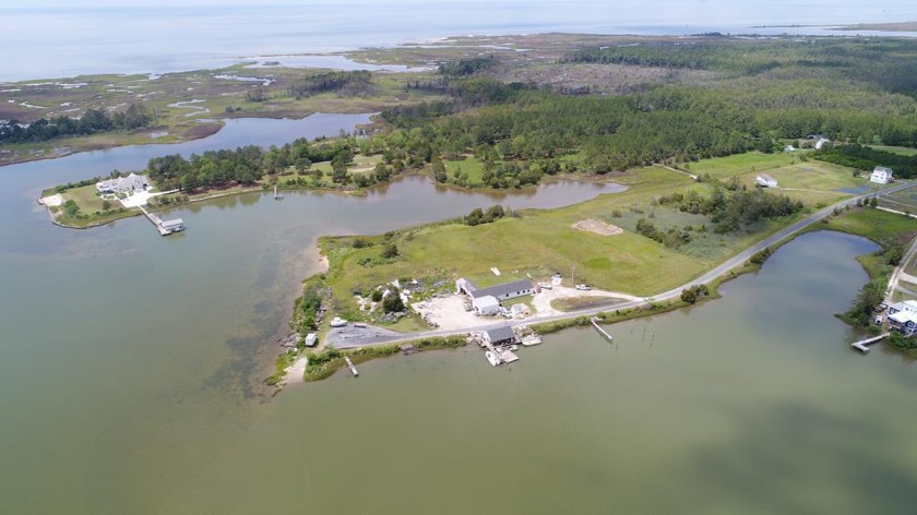 Own your own peninsula!!!  8 acres located on Nandua creek. This - Beach Home for sale in Hacksneck, Virginia on Beachhouse.com