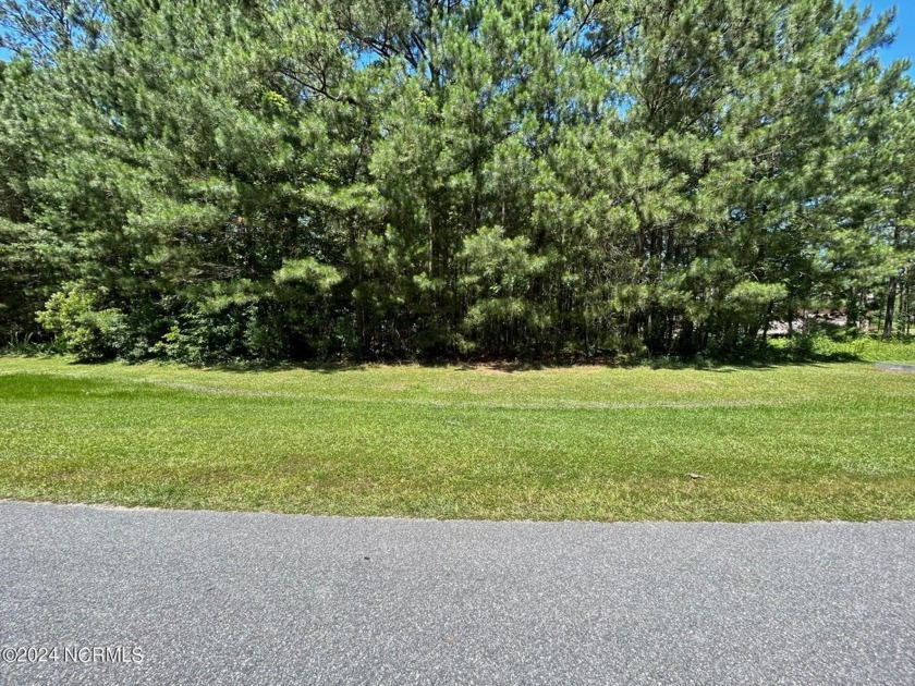 Third of an acre lot located in the beautiful Wynfield section - Beach Lot for sale in Hertford, North Carolina on Beachhouse.com