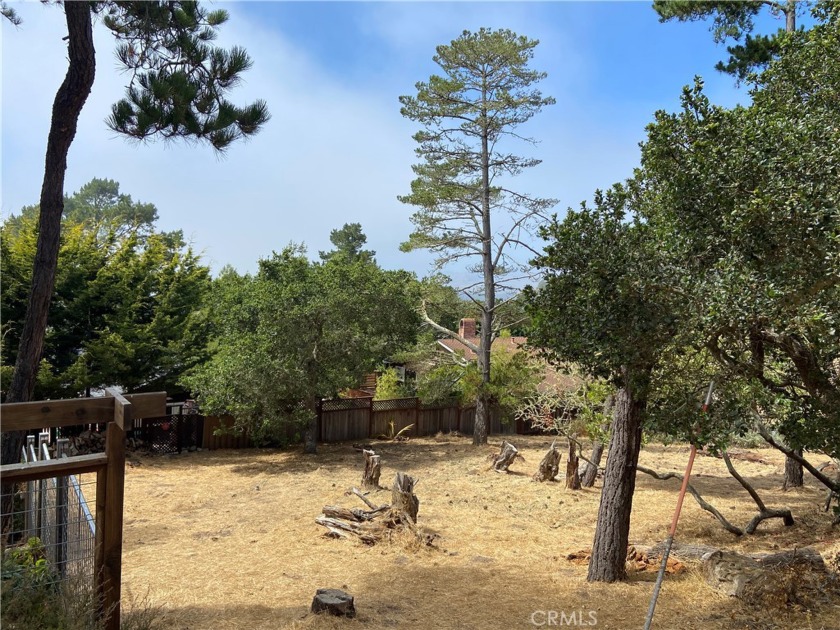 Gently sloped vacant lot, 5,250 sq ft in wooded setting located - Beach Lot for sale in Cambria, California on Beachhouse.com