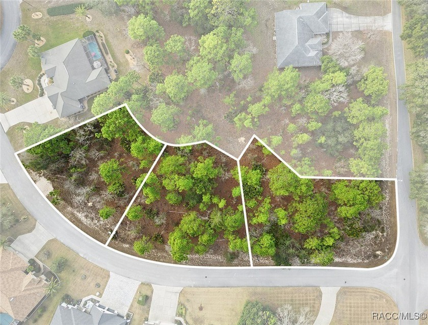 Imagine the possibilities with this rare 1 Acre assembly in the - Beach Lot for sale in Homosassa, Florida on Beachhouse.com