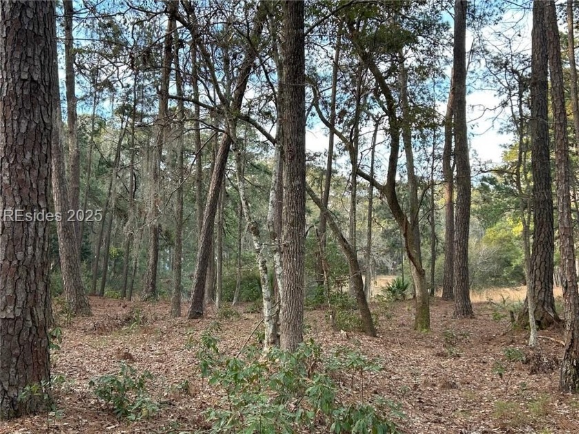 Beautiful, large lot on Lake Fowler in Melrose.  Share the - Beach Lot for sale in Daufuskie Island, South Carolina on Beachhouse.com