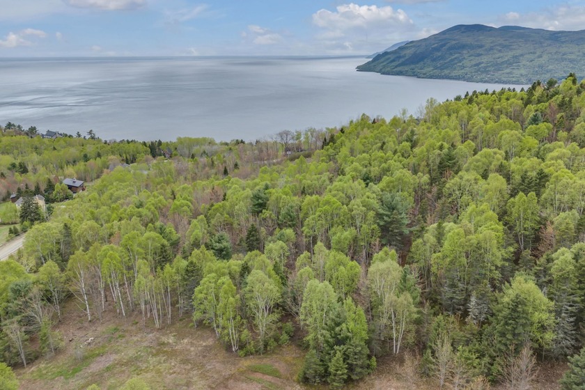 OPPORTUNITE EXCLUSIVE - Terrain boise de 55 098 pi2 a - Beach Lot for sale in Baie-Saint-Paul, QC on Beachhouse.com