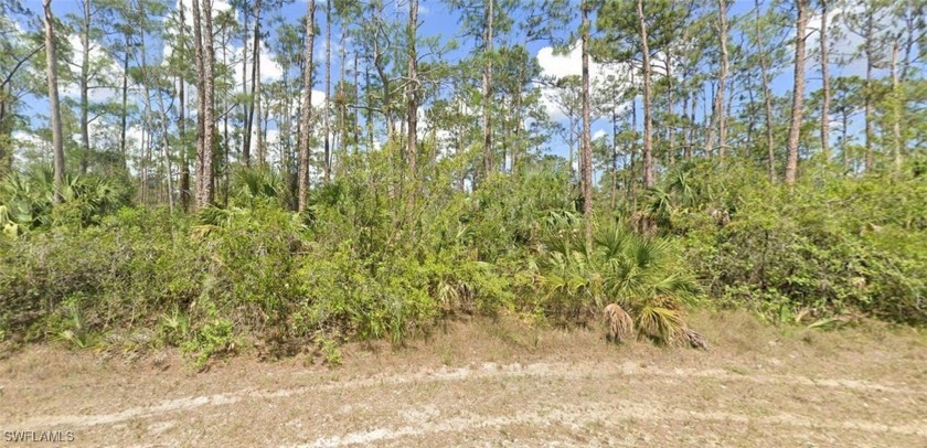 Embrace the best of both worlds with this 0.33-acre lot on - Beach Lot for sale in Lehigh Acres, Florida on Beachhouse.com