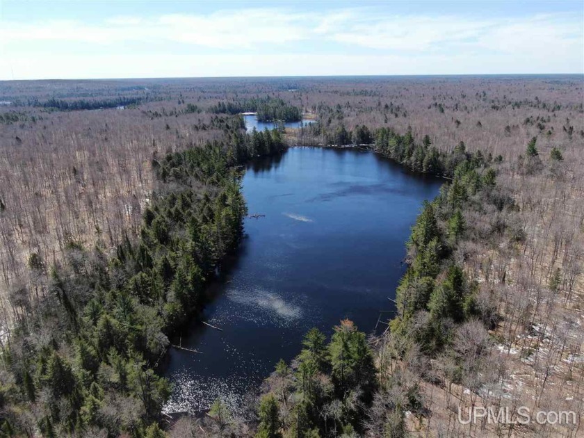 This Carter Lake parcel consists of 250 acres and contains two - Beach Acreage for sale in Grand Marais, Michigan on Beachhouse.com