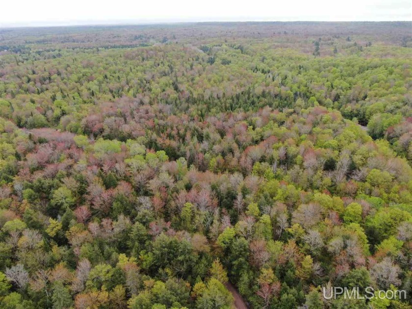 Here is your chance to own lands along the Anna River, just off - Beach Acreage for sale in Munising, Michigan on Beachhouse.com