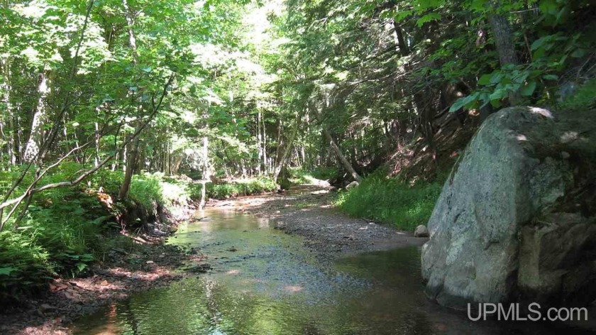 RDP Nash Creek- Nash Creek property contains 232 acres of - Beach Acreage for sale in Marquette, Michigan on Beachhouse.com