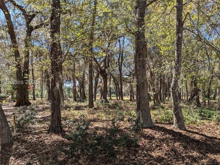 Melrose Resort on Daufuskie Island!  Beautiful,  1/2 + acre - Beach Lot for sale in Daufuskie Island, South Carolina on Beachhouse.com