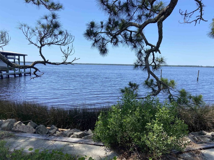Nature lovers delight! You have found the perfect homesite for - Beach Lot for sale in Ochlockonee Bay, Florida on Beachhouse.com