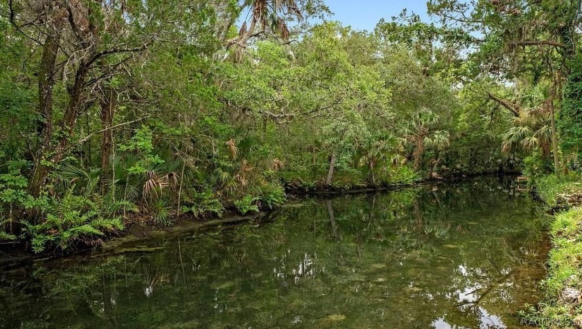 Welcome home to your waterfront paradise! This beautiful - Beach Home for sale in Homosassa, Florida on Beachhouse.com