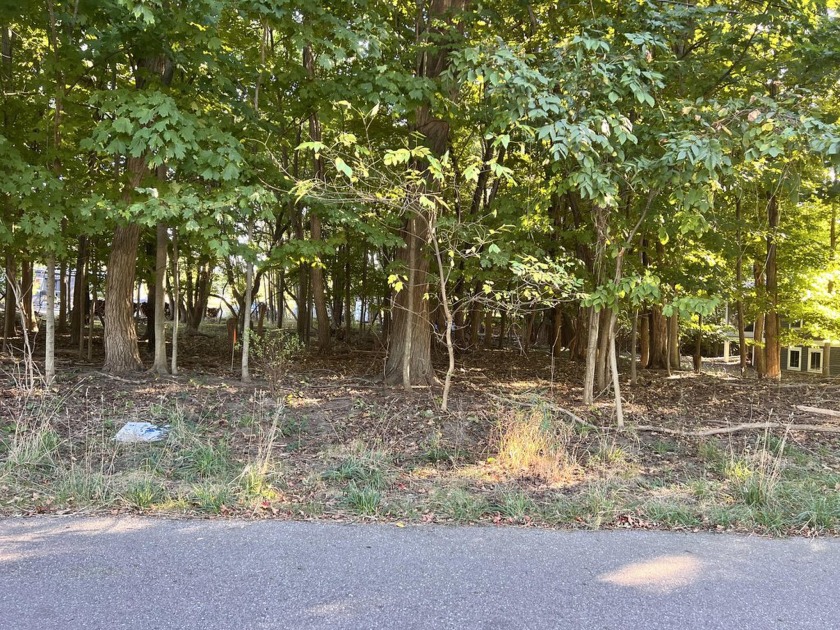 Location Counts! When it matters to you this nicely wooded lot - Beach Lot for sale in Douglas, Michigan on Beachhouse.com