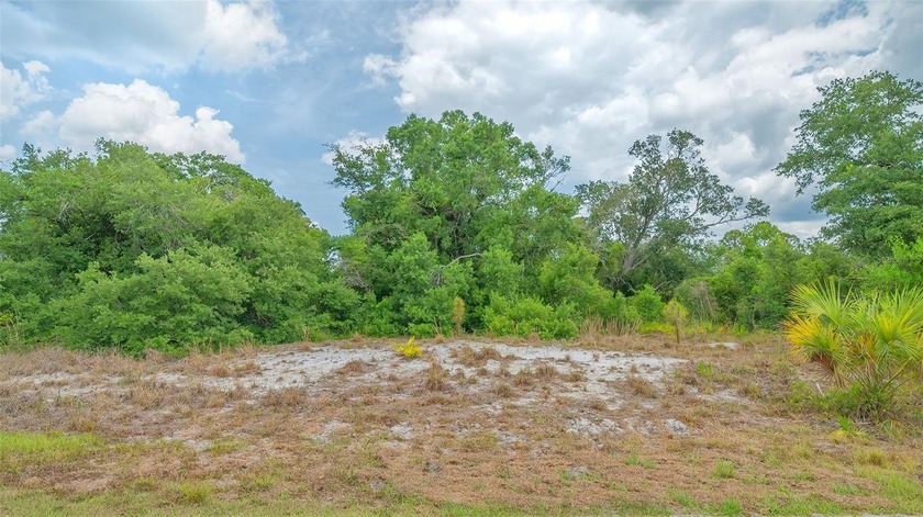 Vacant land with development potential. Discover an incredible - Beach Acreage for sale in North Port, Florida on Beachhouse.com