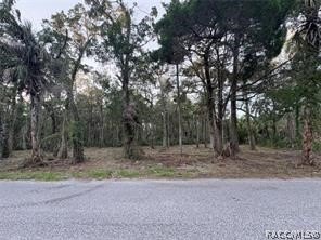 Price Improvement on this amazing lot so come take a look!!! Old - Beach Lot for sale in Homosassa, Florida on Beachhouse.com