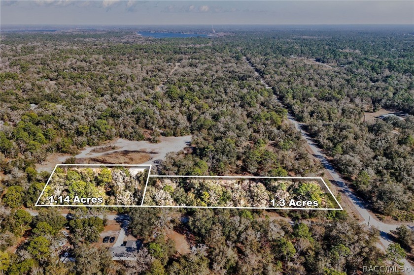 Discover the opportunity to build your dream home or investment - Beach Acreage for sale in Crystal River, Florida on Beachhouse.com
