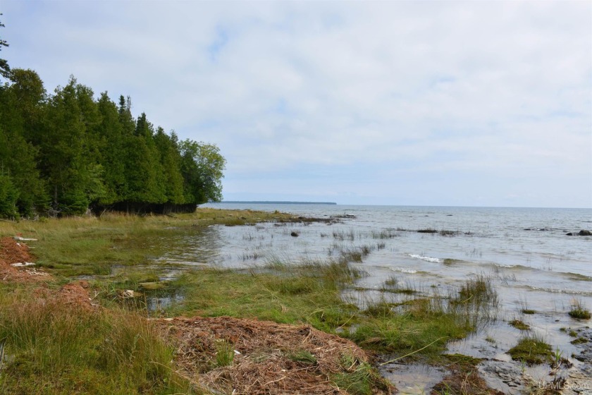 Gorgeous 20-acre Summer Island parcel has roughly 1,850 feetof - Beach Acreage for sale in Garden, Michigan on Beachhouse.com