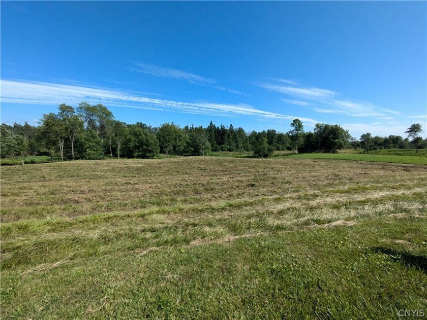 Beautiful 3 Acre rolling country lot with creek in the back - Beach Acreage for sale in Clayton, New York on Beachhouse.com