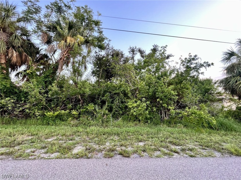 Very nice southern rear exposure lot on a good sized canal in a - Beach Lot for sale in Port Charlotte, Florida on Beachhouse.com