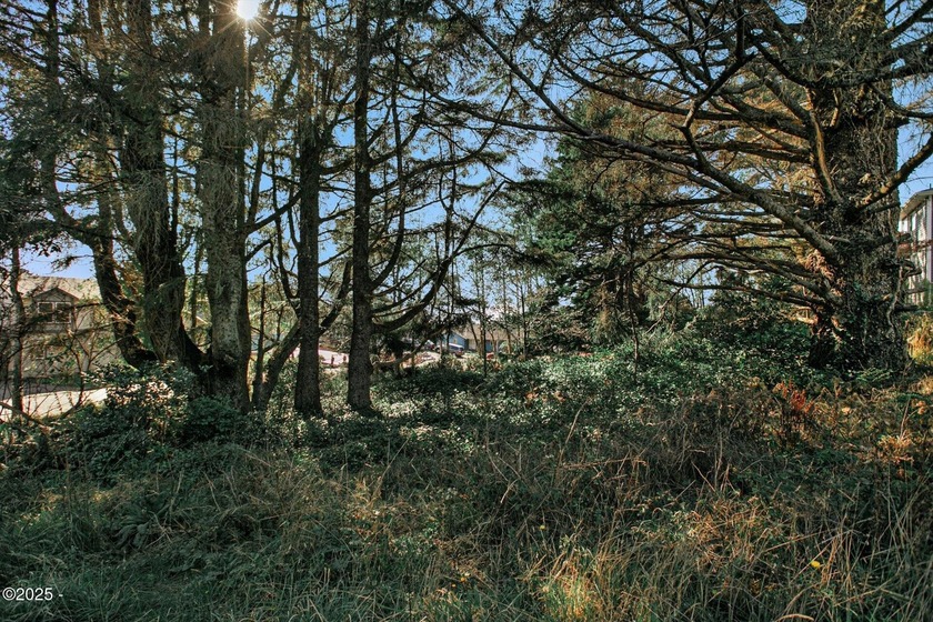 Prime corner lot on a cul-de-sac in Compass Point, just a short - Beach Lot for sale in Lincoln City, Oregon on Beachhouse.com
