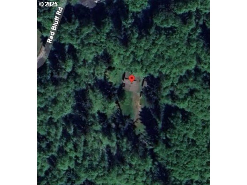 Follow Red Bluff Rd until the pavement disappears, and your - Beach Lot for sale in Seaside, Oregon on Beachhouse.com