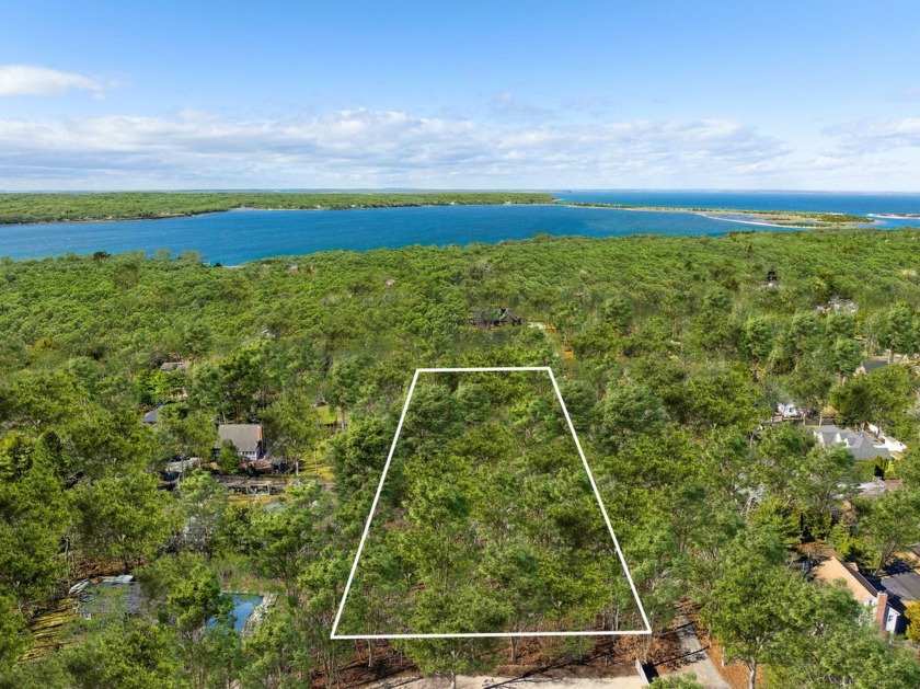 A rare opportunity to build your dream estate on 2.5 private - Beach Acreage for sale in East Hampton, New York on Beachhouse.com