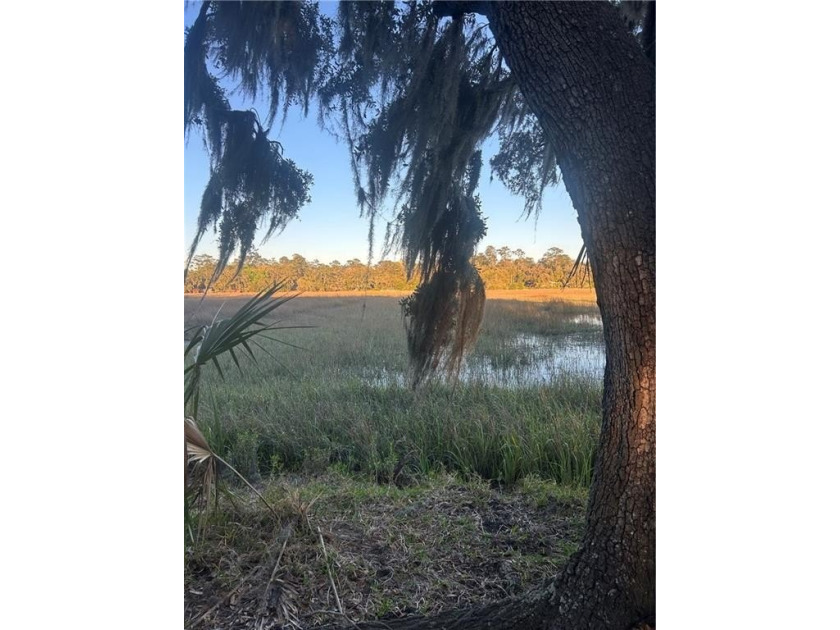 Build you dream home on the 2.83 acre upland lot that has - Beach Acreage for sale in Brunswick, Georgia on Beachhouse.com