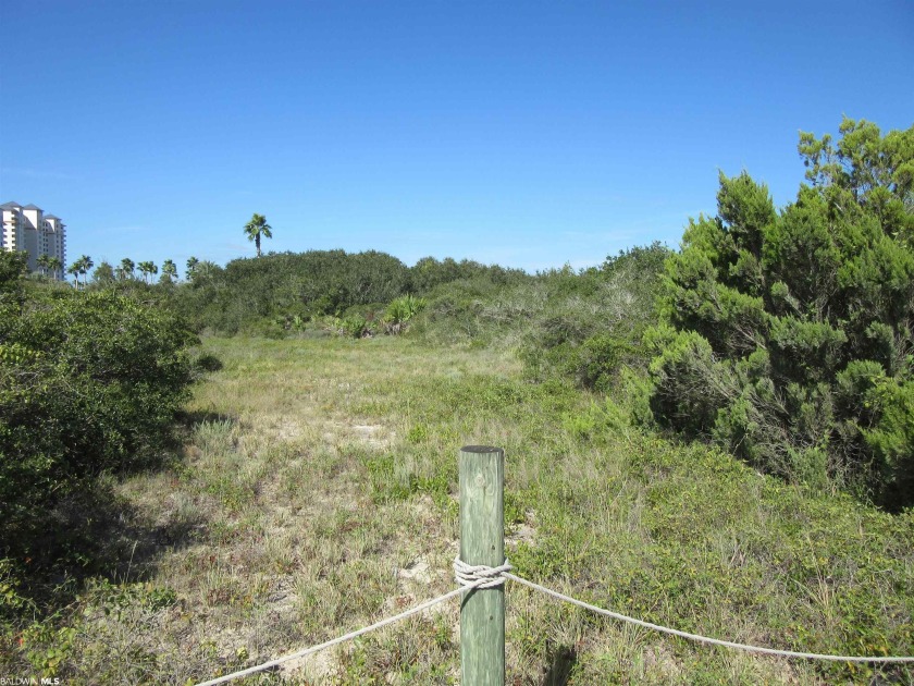 PRIVATE BEACHSIDE SUBDIVISION WITH GULF & BAY ACCESS! Lot - Beach Lot for sale in Gulf Shores, Alabama on Beachhouse.com