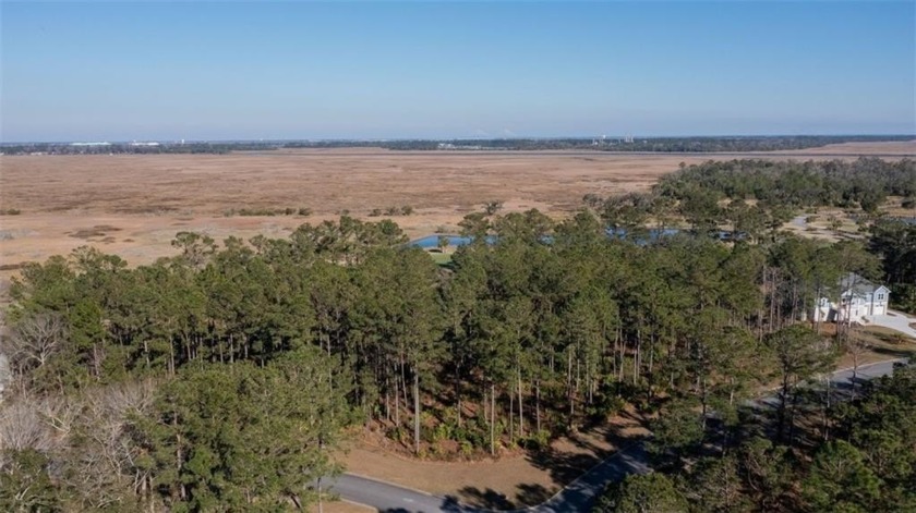 DON'T MISS OUT ON THIS ONE OF A KIND LOT IN ONE OF COASTAL - Beach Lot for sale in Waverly, Georgia on Beachhouse.com
