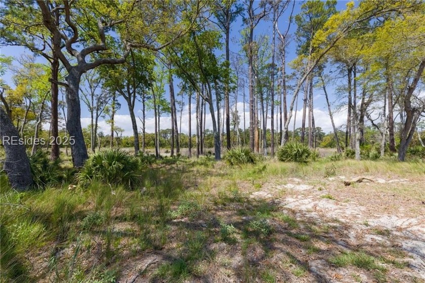 Seize the opportunity to own this spectacular oceanfront lot - Beach Lot for sale in Daufuskie Island, South Carolina on Beachhouse.com