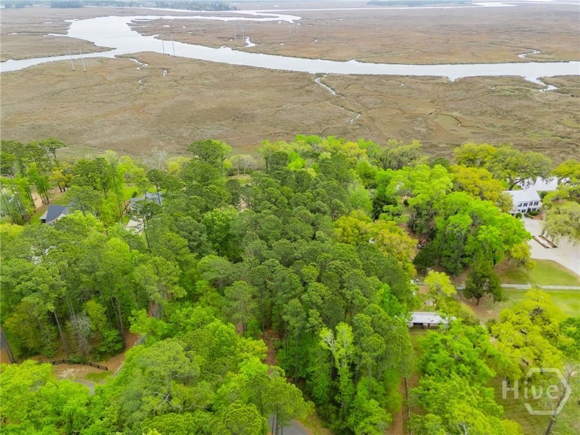 Discover a rare opportunity to own a stunning marshfront lot in - Beach Lot for sale in Savannah, Georgia on Beachhouse.com