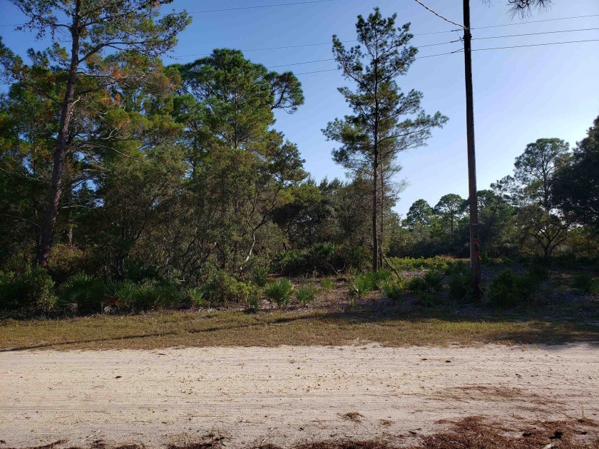 Build your coastal retreat at Bald Point!  This lot backs up to - Beach Lot for sale in Bald Point, Florida on Beachhouse.com