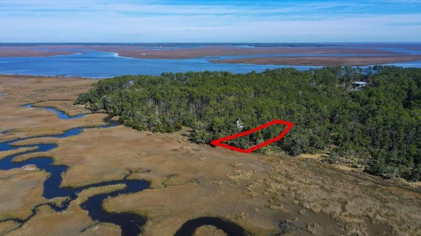 SUNSET marshfront lot on Belvedere Island with several mature - Beach Lot for sale in Townsend, Georgia on Beachhouse.com