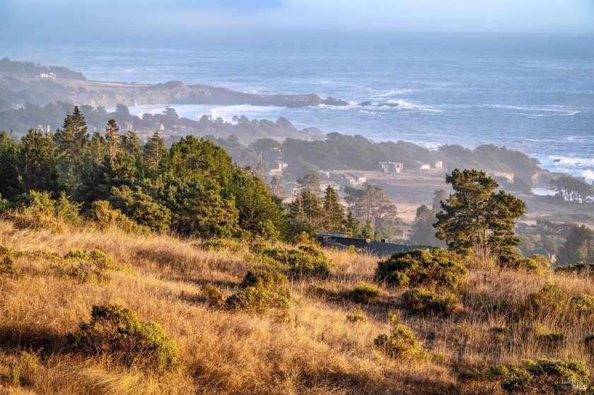 In 2023 this wonderful home was extensively remodeled and - Beach Home for sale in Sea Ranch, California on Beachhouse.com