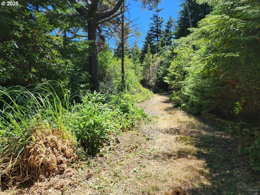 This beautiful 2.29ac lot in the highly sought after Cedar - Beach Lot for sale in Portorford, Oregon on Beachhouse.com