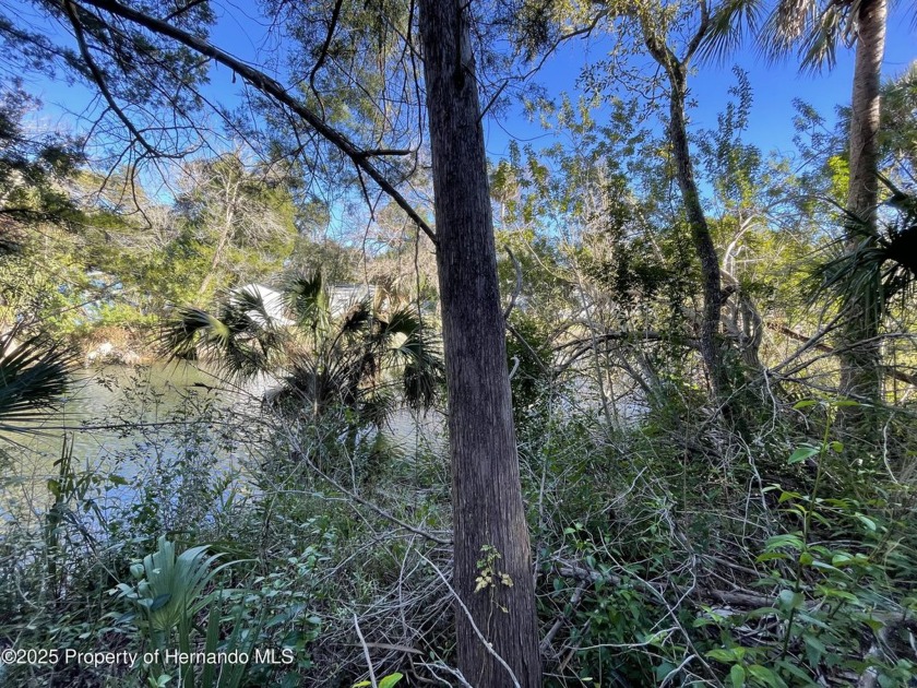 Nestled in the serene beauty of Weeki Wachee, this vacant - Beach Lot for sale in Weeki Wachee, Florida on Beachhouse.com