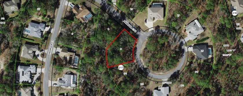 Corner lot on a cul de sac court. This .35 acre lot has a - Beach Lot for sale in Homosassa, Florida on Beachhouse.com