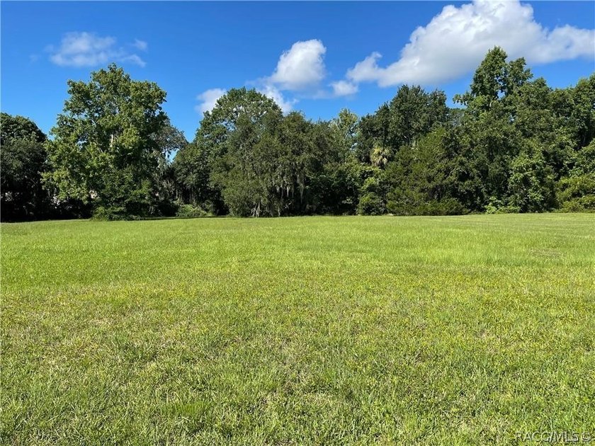 Discover the perfect setting for your custom home in Riverhaven - Beach Lot for sale in Homosassa, Florida on Beachhouse.com
