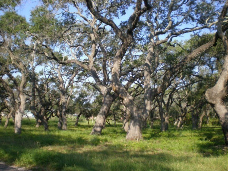 1.68-acre lot across from Copano Bay and backing up to Goose - Beach Lot for sale in Rockport, Texas on Beachhouse.com