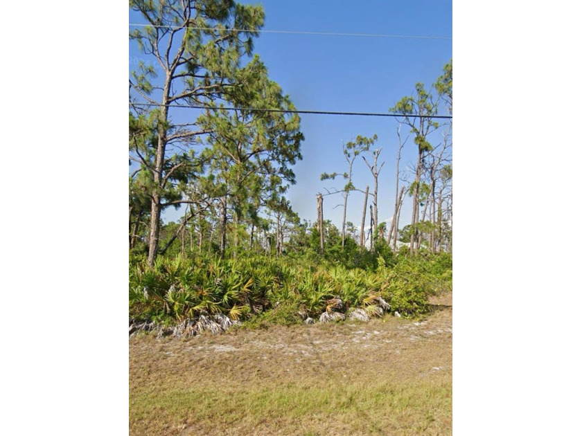 Unmissable Opportunity in Rotonda Lakes!

Land ready for you - Beach Lot for sale in Rotonda West, Florida on Beachhouse.com