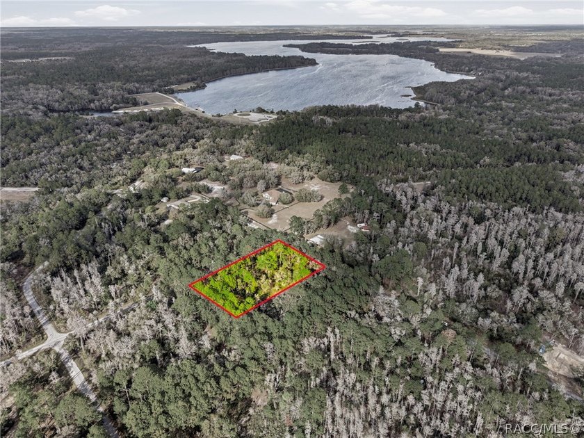 Wooded corner homesite in Crystal River with a private natural - Beach Lot for sale in Crystal River, Florida on Beachhouse.com