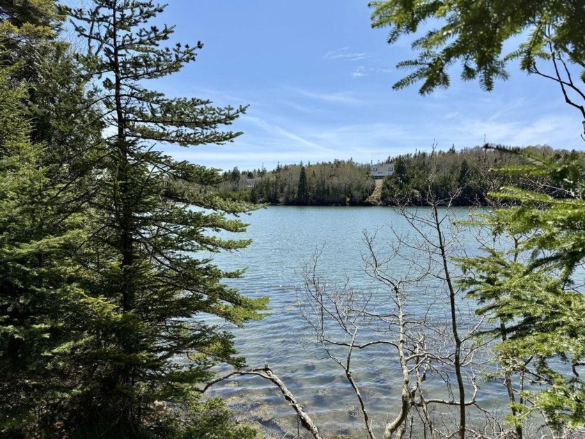Discover the epitome of coastal living on this 2.24-acre wooded - Beach Lot for sale in Machiasport, Maine on Beachhouse.com
