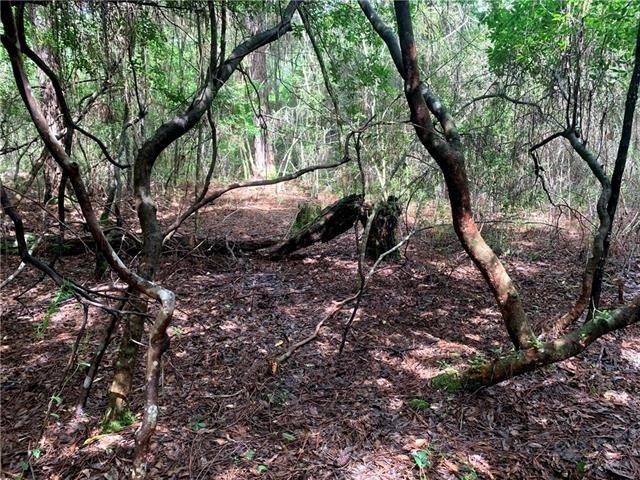Amazing Opportunity to own a huge property in Mandeville - Beach Acreage for sale in Mandeville, Louisiana on Beachhouse.com