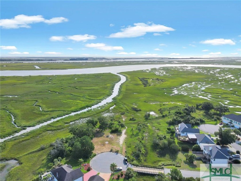 Incredible opportunity to live where your view will always be - Beach Lot for sale in Savannah, Georgia on Beachhouse.com