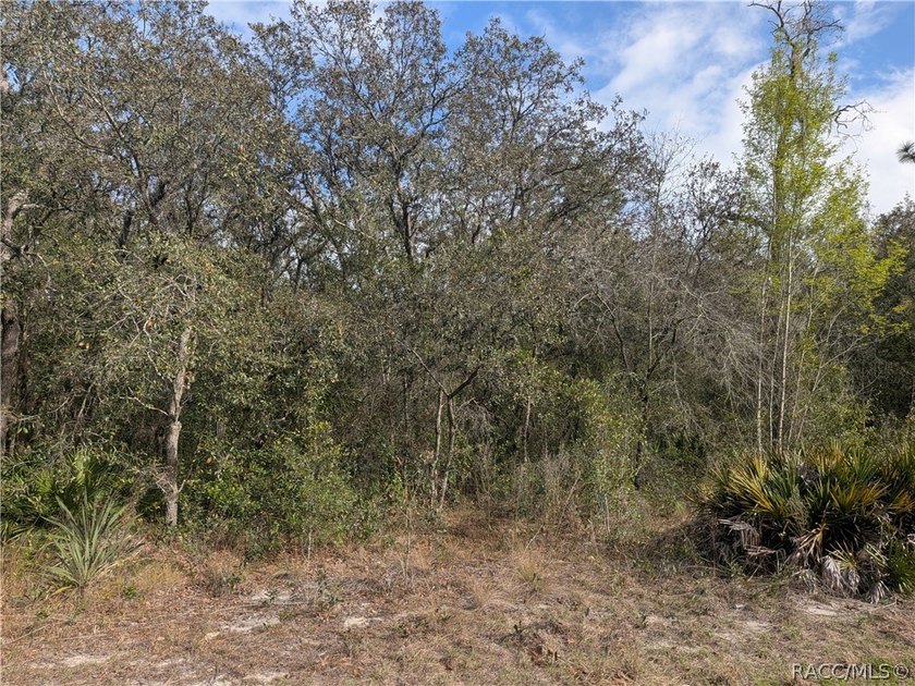 Don't Miss Out On This Fantastic Piece Of Florida Residential - Beach Lot for sale in Homosassa, Florida on Beachhouse.com
