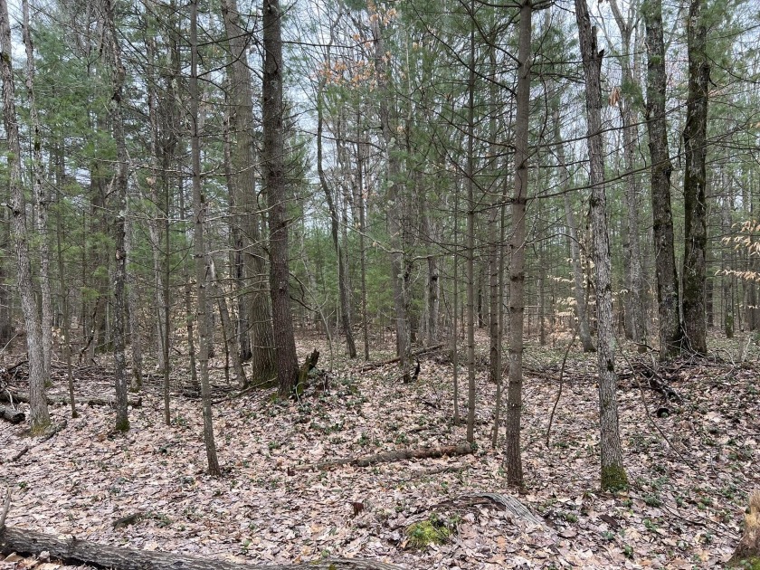 This gorgeous 10-acre parcel is situated in Victory Township - Beach Acreage for sale in Free Soil, Michigan on Beachhouse.com